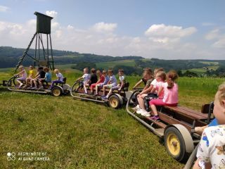 Pstr%%C4%%85gowa 7 2022